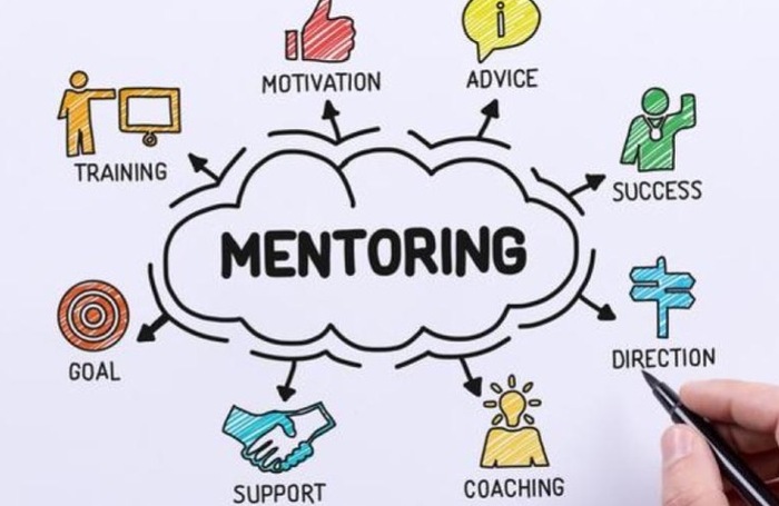 Har du lyst til å være mentor for en av USN's studenter?