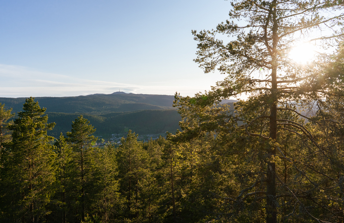 Kongsberg står foran store muligheter de neste årene.